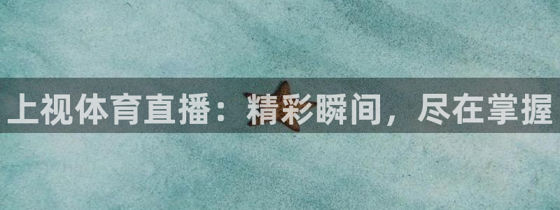 上视体育直播：精彩瞬间，尽在掌握