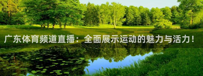 广东体育频道直播：全面展示运动的魅力与活力！