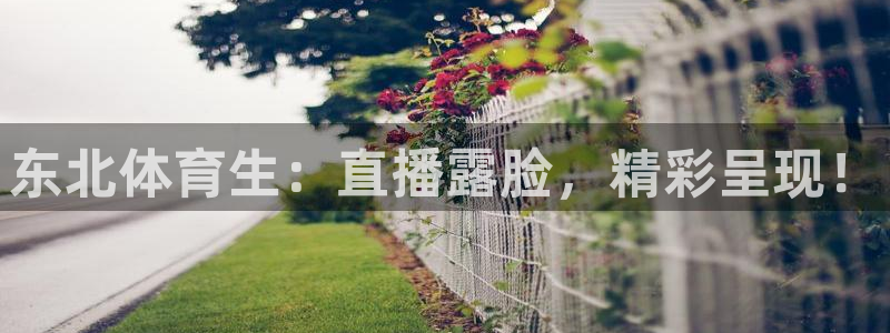 新闻图片