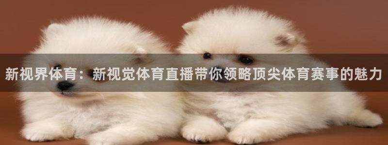 新闻图片